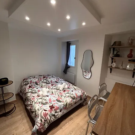 Le Petit Toulousain Apartment Toulouse